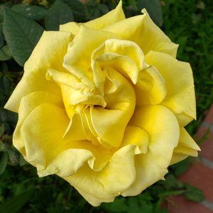 Meet your Posher, jesi444